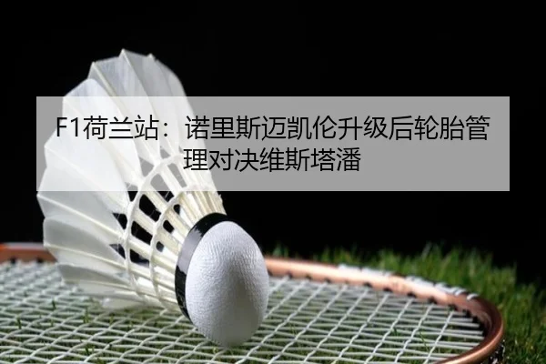 F1荷兰站：诺里斯迈凯伦升级后轮胎管理对决维斯塔潘