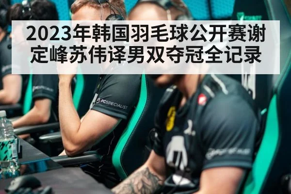 2023年韩国羽毛球公开赛谢定峰苏伟译男双夺冠全记录